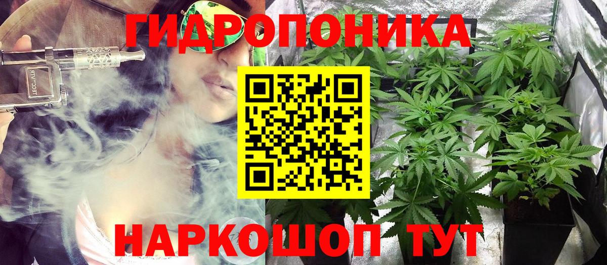 Шишки марихуана LSD WEED  Бошки марихуана тримм  Вход с VPN  Междуреченск  Бошки марихуана SATIVA & INDICA  Каннабис семена 